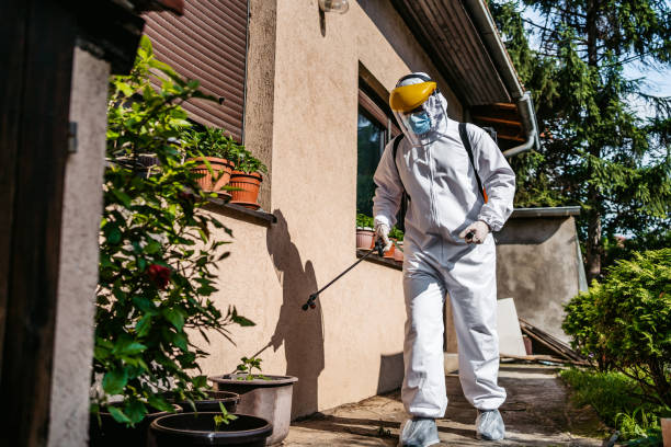 Best Ant Control Services  in Caldwell, ID