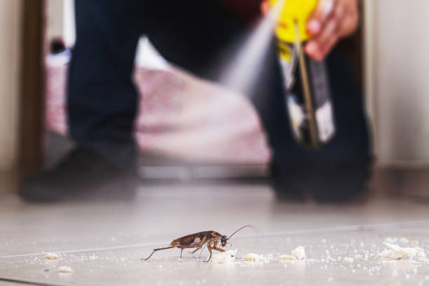 Best Best Pest Control Companies  in Caldwell, ID