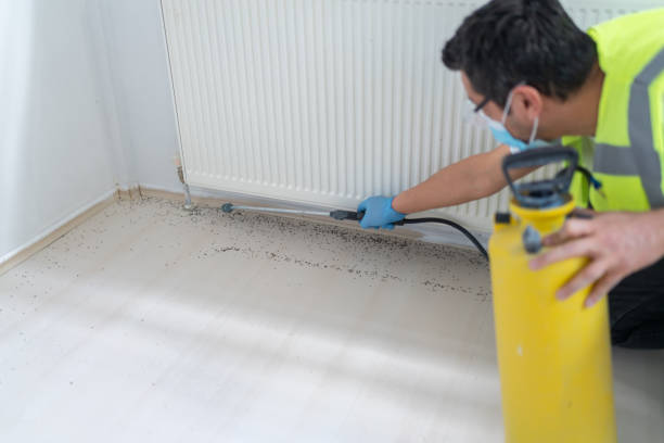 Best Local Pest Control Services  in Caldwell, ID