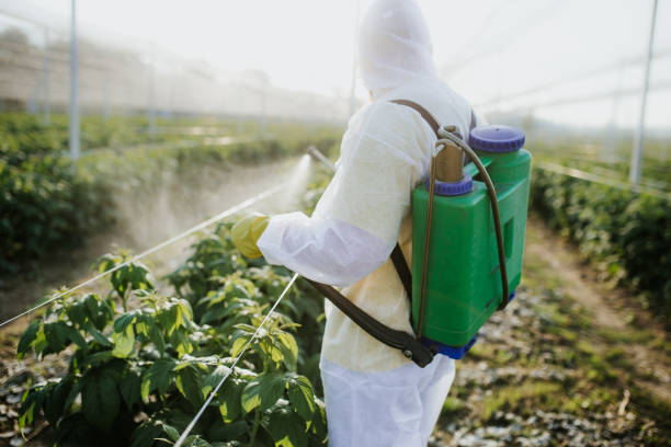 Best Pest Control for Restaurants  in Caldwell, ID
